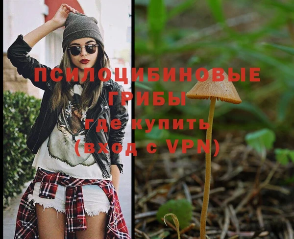 Альфа ПВП Нефтекумск